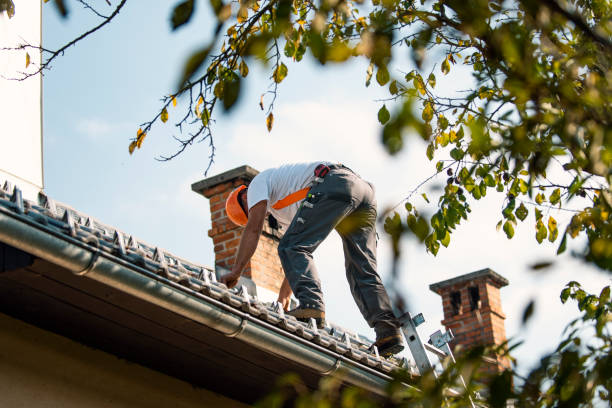 Best Roof Leak Repair  in Cressona, PA