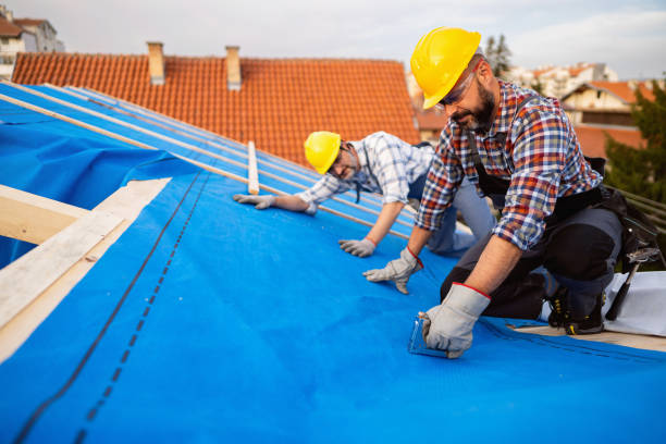 Best Roof Gutter Cleaning  in Cressona, PA